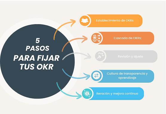 Pasos para aplicar la metodología OKR al departamento de calidad