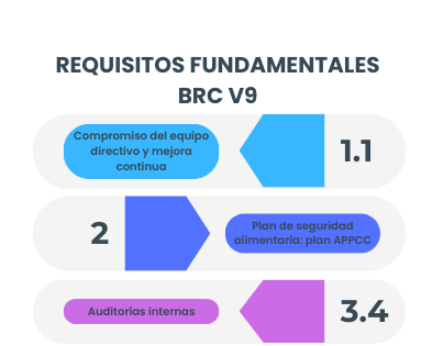 requisitos fundamentales BRC v9