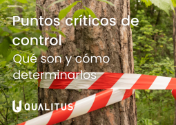 Puntos críticos de control