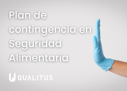 Plan de contingencia