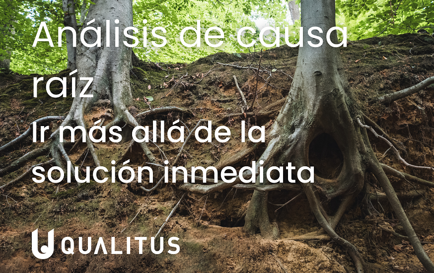 Análisis de causa raíz