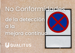 No Conformidades, de la detección a la mejora continua No conformidades
